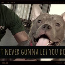 Colbie Caillat Song Lyrics by Albums Page 3 | MetroLyrics