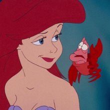 Disney Under The Sea From The Little Mermaid Lyrics Metrolyrics